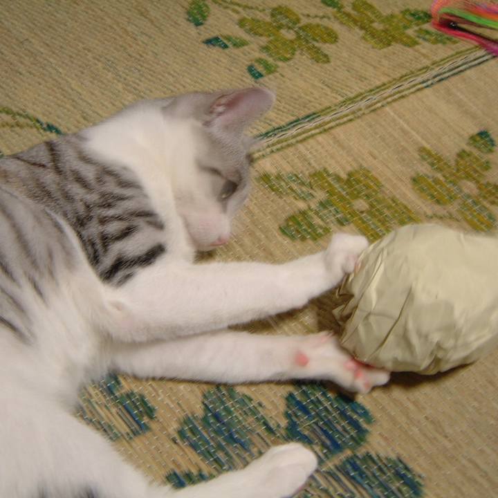 84e5c4ac 71b0 42c5 b7ca da9539098a10