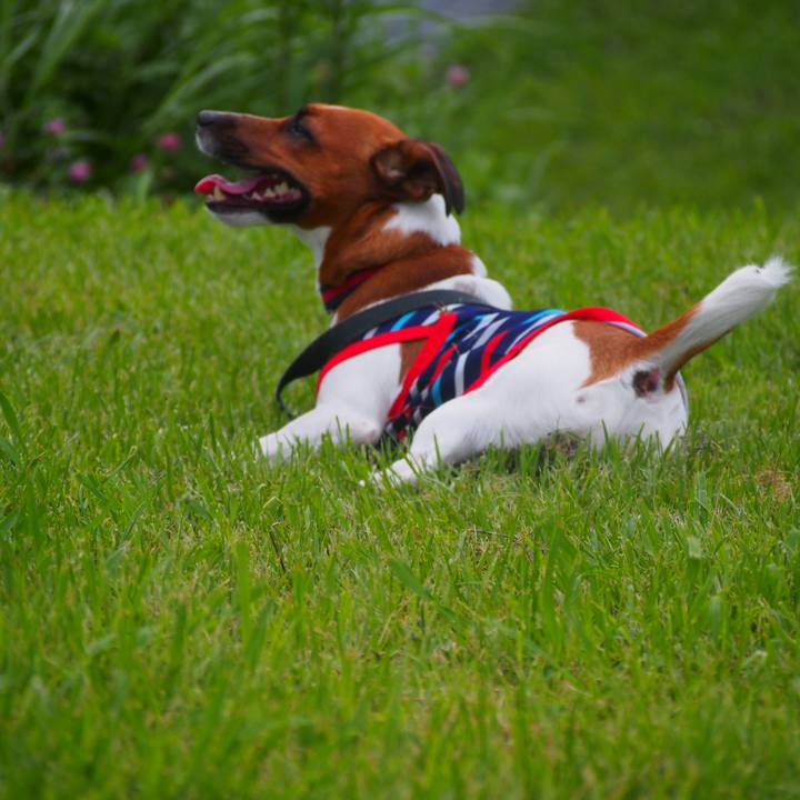 84e6074d 7b03 45c9 9f66 6b0276994fb6