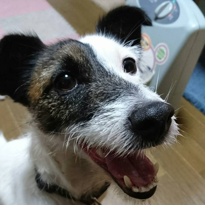 84e615a9 7183 4408 ab70 94b581bb63b7