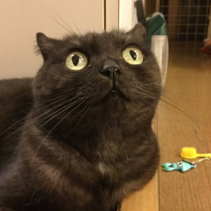 84e6238f b791 4b36 8bda f7218b3b937f