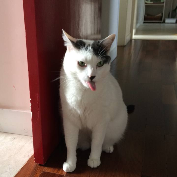 84e65832 b4b1 42a0 aec1 9443cb14d55e