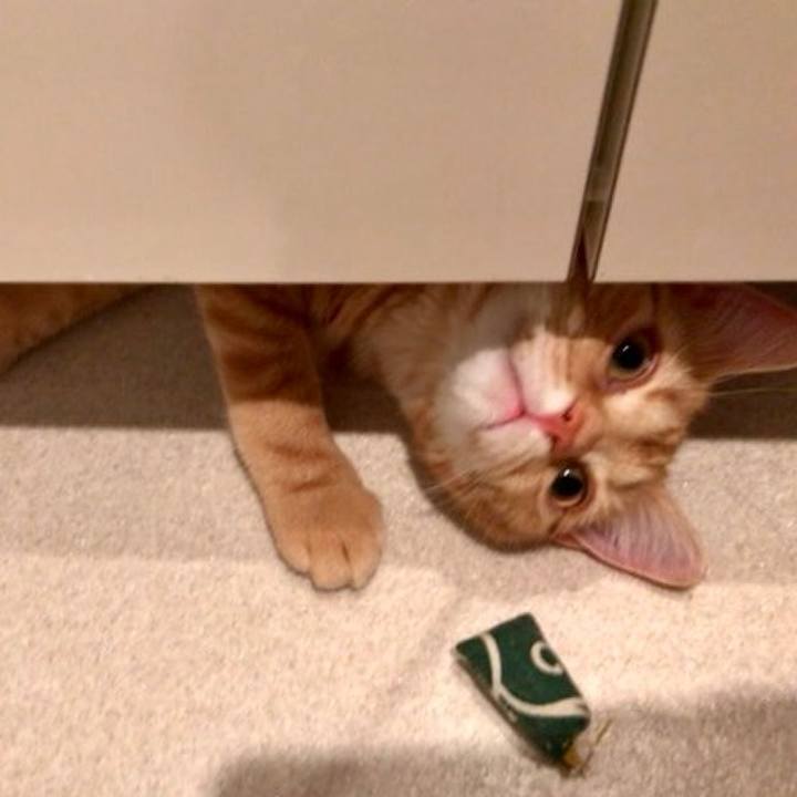 84e6bc6e 78de 4d10 bf65 3f7681a6c482