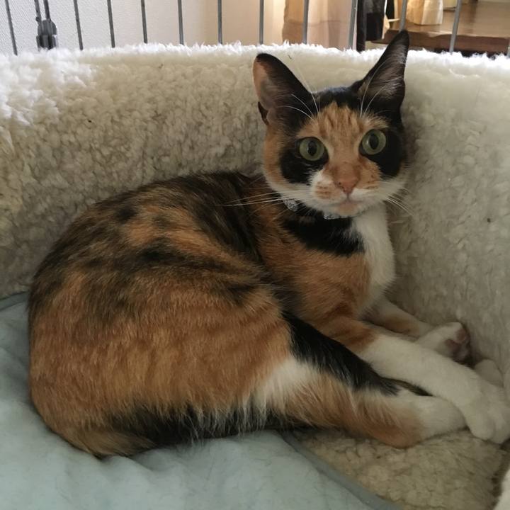 84e6c72e c8bd 4e7d ae37 547b82564198