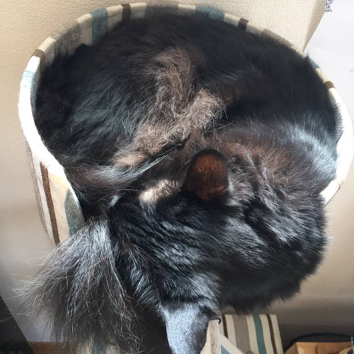 84e72e95 db41 46a0 9ca4 3c957a73013d