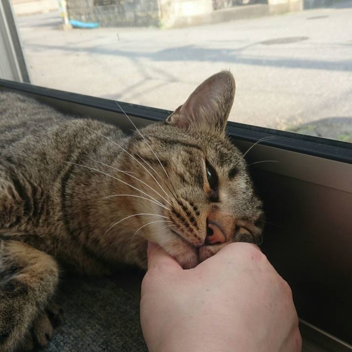 84e7ccba afe3 4a5d a083 1a47b8787055