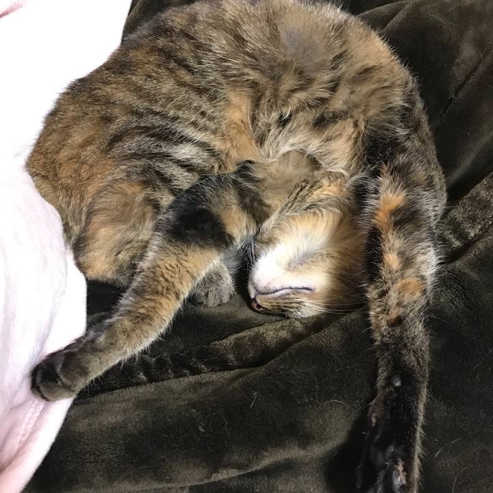 84e89194 25e9 4050 9857 0fa7713ba6c3