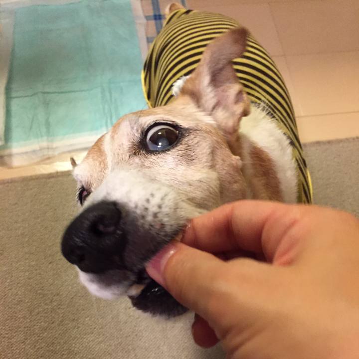 84e92172 f480 4498 a5ed b168eded56a0