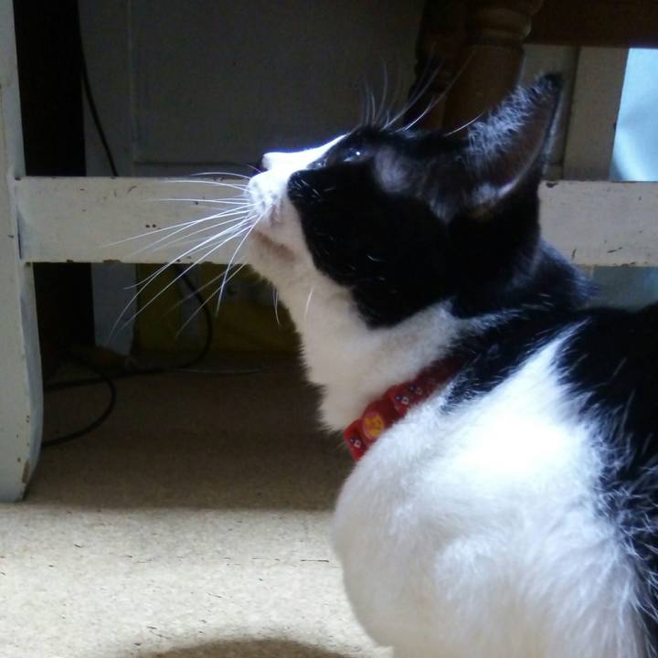 84e9b5d9 c596 4ea6 bd6d cf8789025c8c