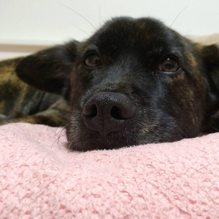 84e9fe47 243d 4bcb 9317 c5b6f83e783a