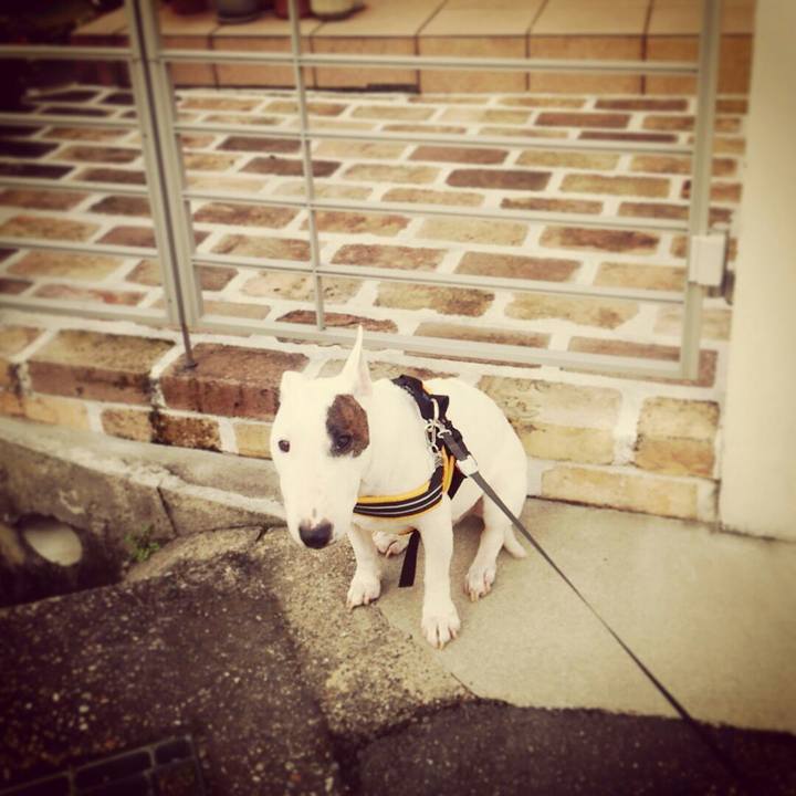 84eadef0 afac 4366 8491 4ff9912bcc21