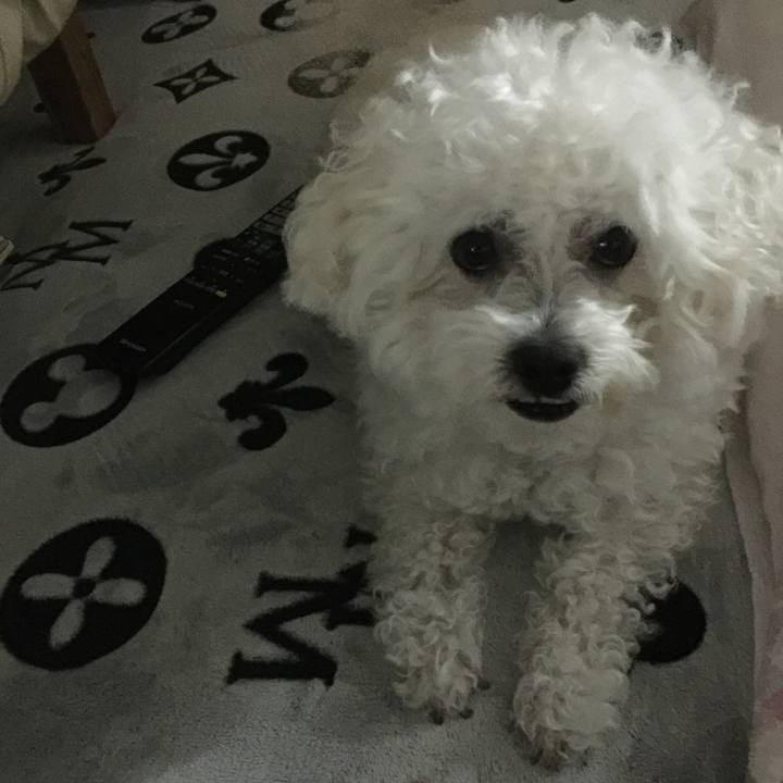 84eaee9a a19a 45c2 920f 541e432c2442