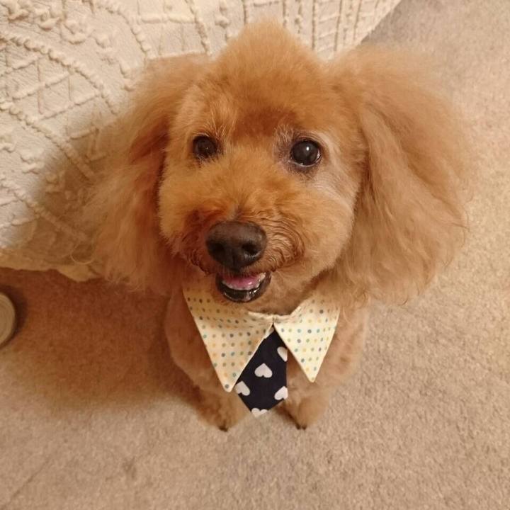 84eb089f 4a4d 42d5 b315 03a464f157ba