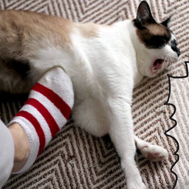 84eb6063 7f30 40cb 8d8e 34ba5a54d7f0