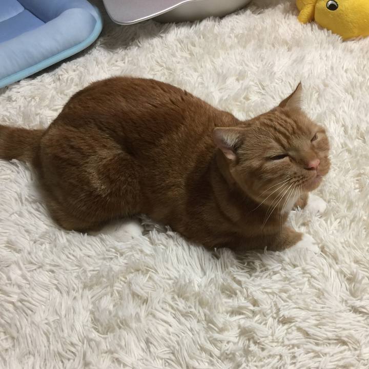 84ebd2c8 e07b 4ac7 bb93 0f0751376c1d