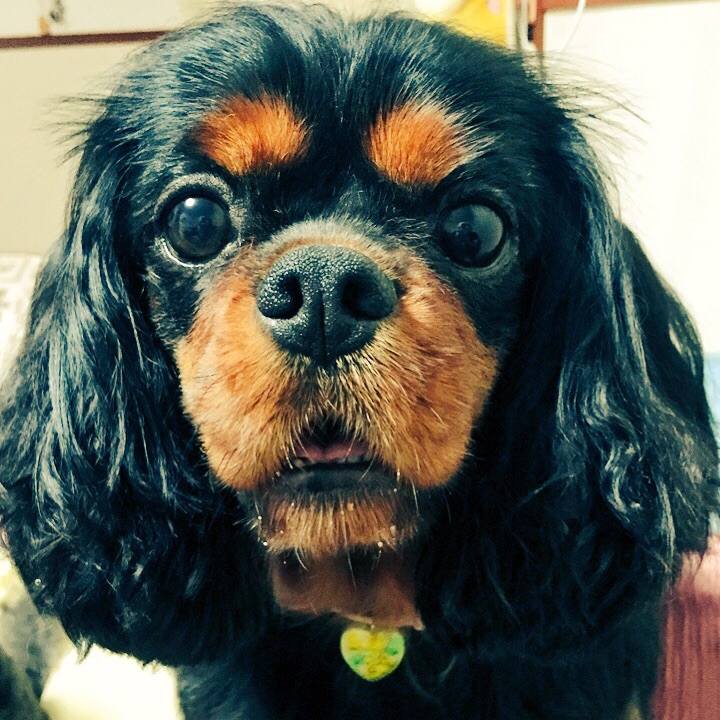 84ec427f 94e0 4644 a102 90e9f44cdffe