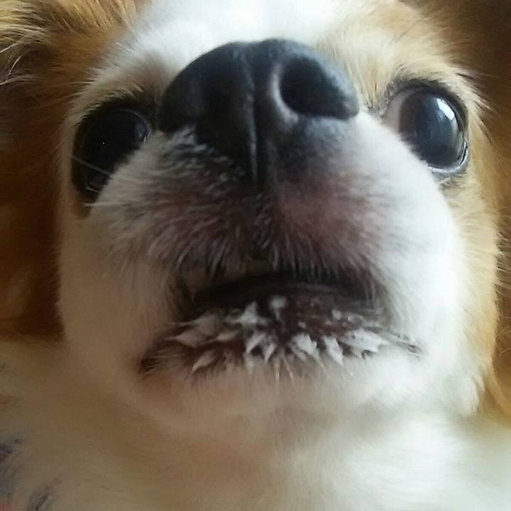 84ed5c2d 8c9e 48bd 8d3a 7b177ec23630