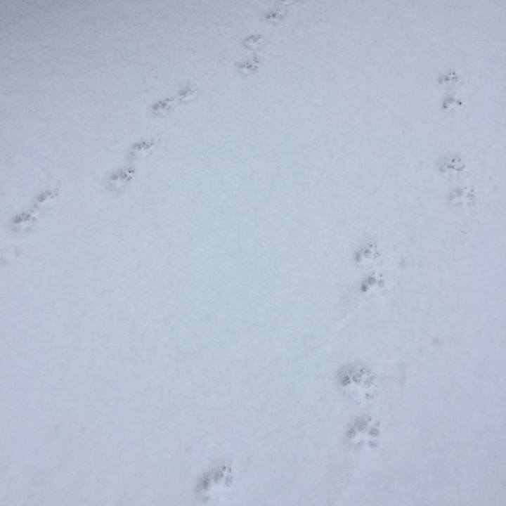 84ef1edb 1771 4615 9ecd 6cd43833aba1