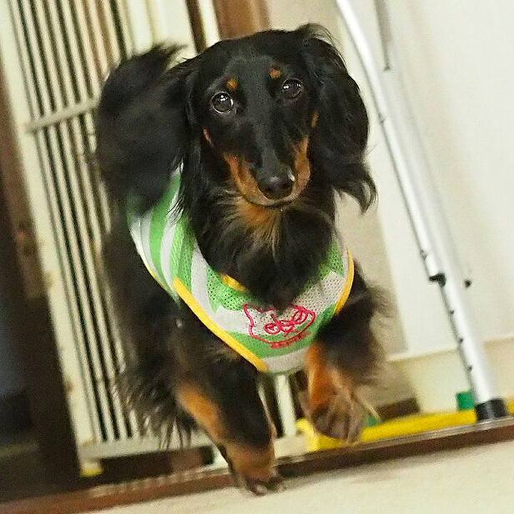 84ef3136 1b7f 432f 9c8f 4c11eb53d62e