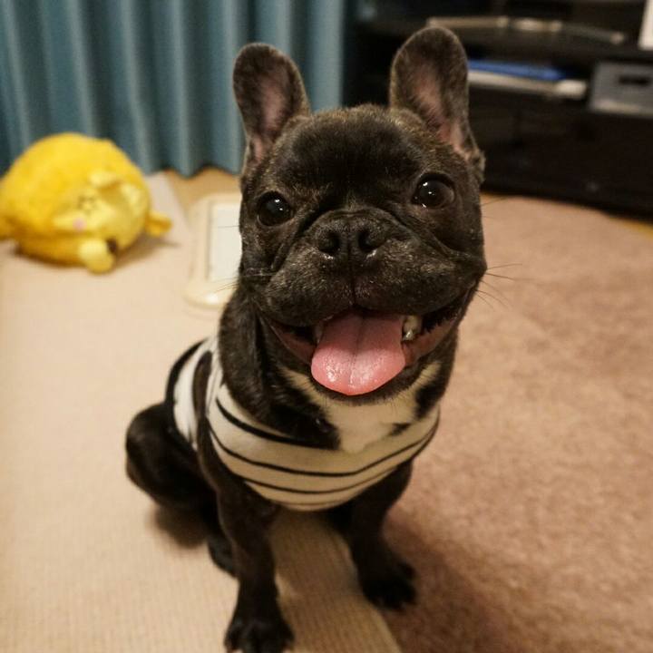 84eff46a 9304 4038 b1fc 86ba1a4eb819