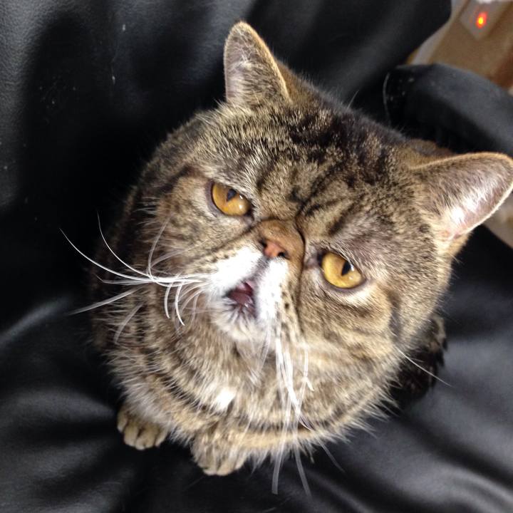 84f04360 9366 4308 88c1 ca7b5bd52b1f