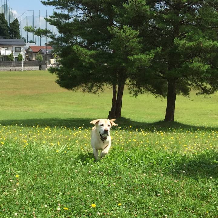 84f06b4a 19eb 494f 86fc 2ccc0e8f7e5d