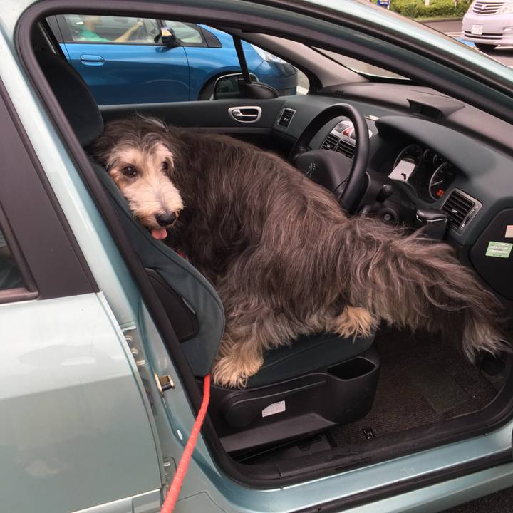 84f16547 d85c 4034 ba10 b3297be01ddf