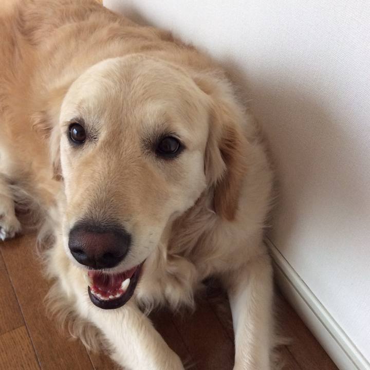 84f1a32c d4fa 47ac 87ff 5eddec5668f1