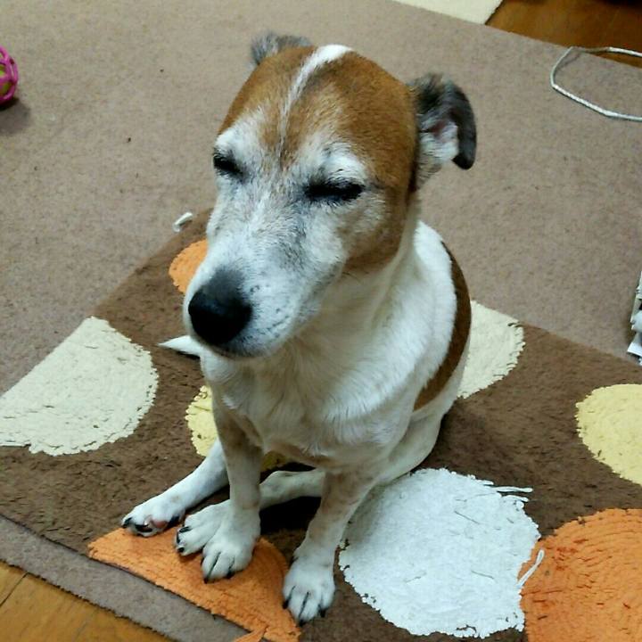 84f1ce60 9875 4f9d b3ab e780ecc10df9