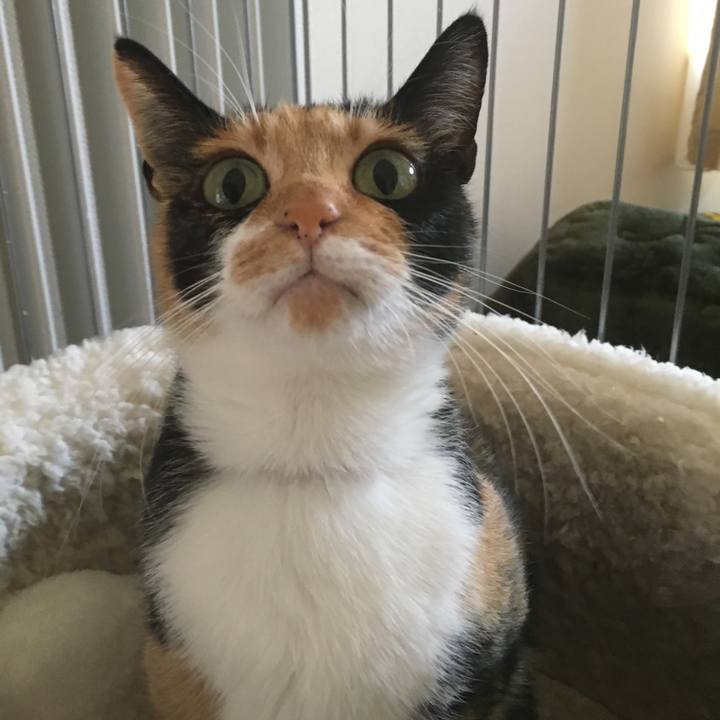 84f1cfe9 fe04 4ece bdda fa7e6f17b0dd