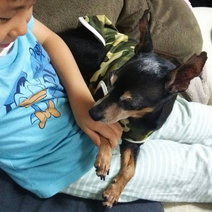 84f1e10d 6bdf 4bff 9bdc 14e8add3aee7