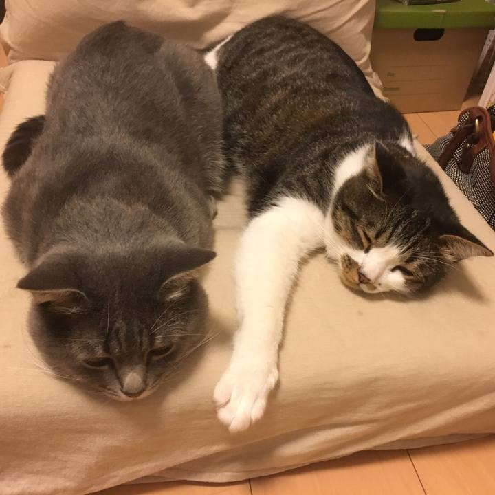 84f1f570 1684 4d8b b06c 2caff114fa97