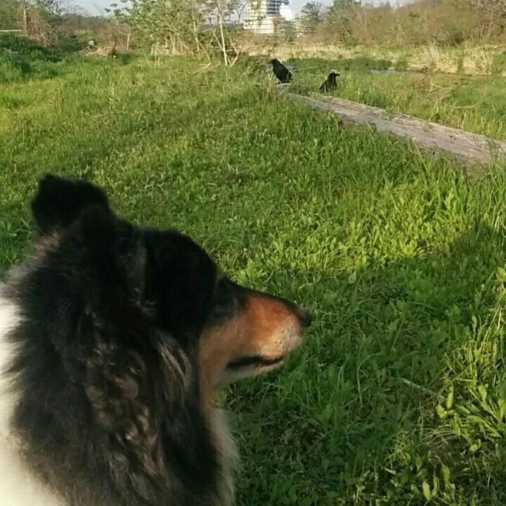 84f1ffd3 f12b 473d adc1 93230fa9c9ed