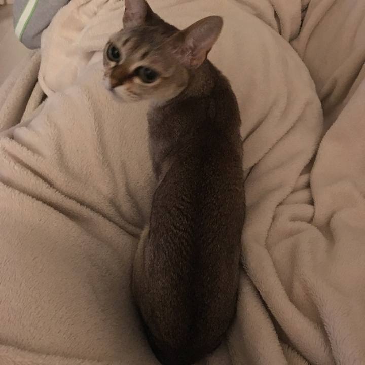 84f217a7 a0e1 4fec 9cc0 f1f4adf21575