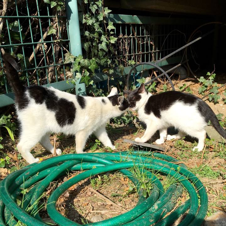 84f2d8b4 ddf0 4550 882c 718bc59b920a