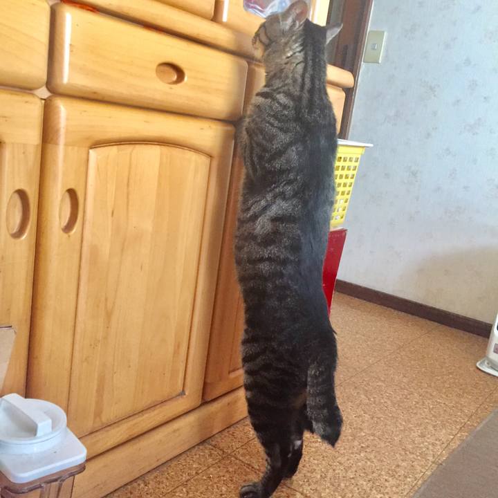 84f36ebb 25de 4711 8502 7b3e4bbffc90