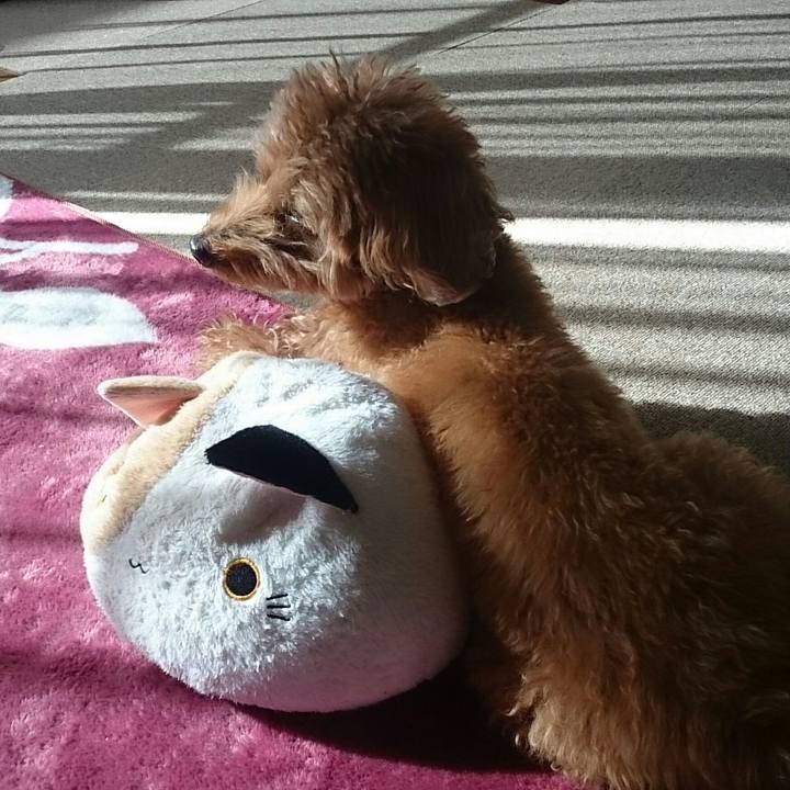 84f39840 f3d5 4dd1 8b44 7b8210aa3e44