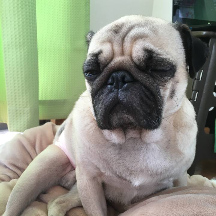 84f3a2de 1b68 4e60 a2a8 6a93fafd4d82