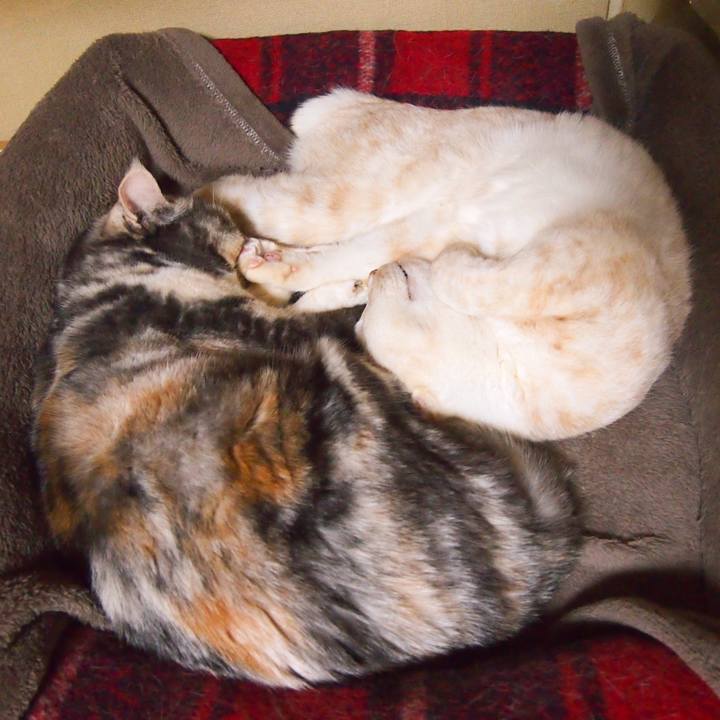 84f419f7 a5ec 49ef 937e dcaefb2b5d41