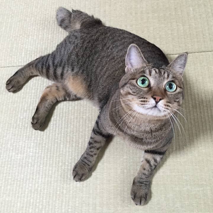 84f41e44 96d7 4f69 80d2 6d22182a67d9