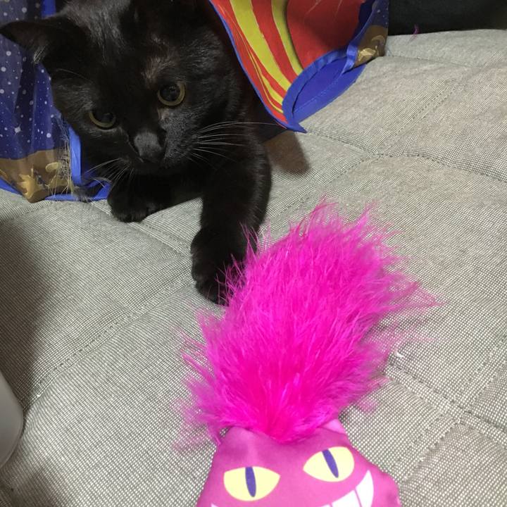 84f49faf 0ab0 499b 9645 8546f47bc461