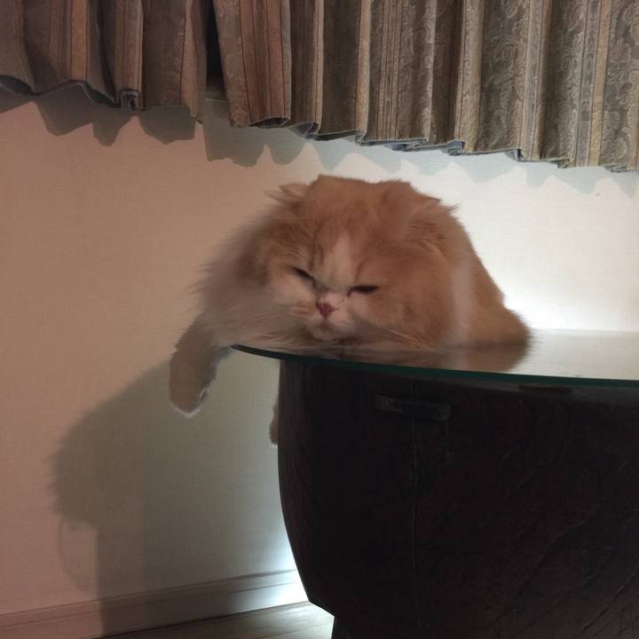 84f4a6f7 eaba 4b1c 9950 405031e623e2