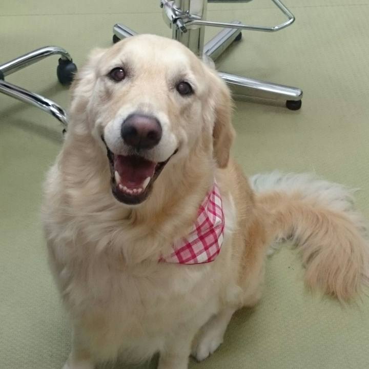 84f50279 3234 4f94 a61e 30dbf7677334