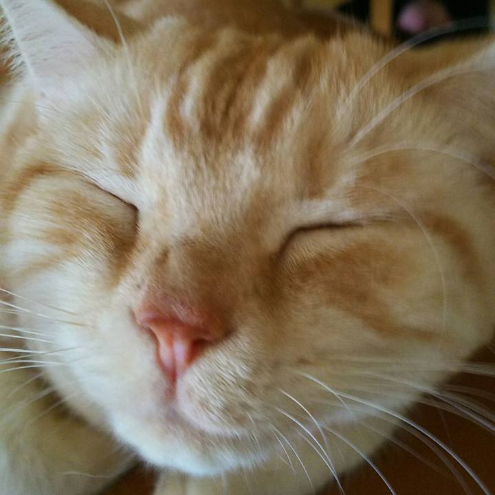 84f6e654 d437 4a51 80e2 9e384ffb78f5