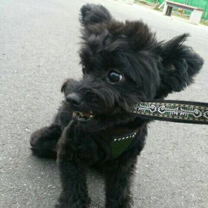 84f7530b d6c6 4294 b625 df3fb0bf072b