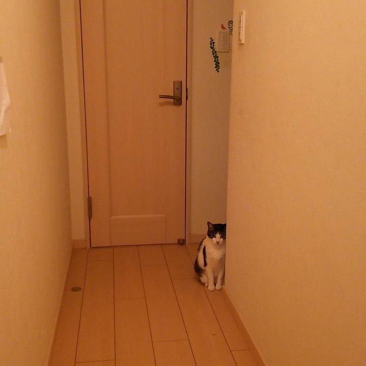 84f75320 c24a 4369 ade1 4702cfc45f3d