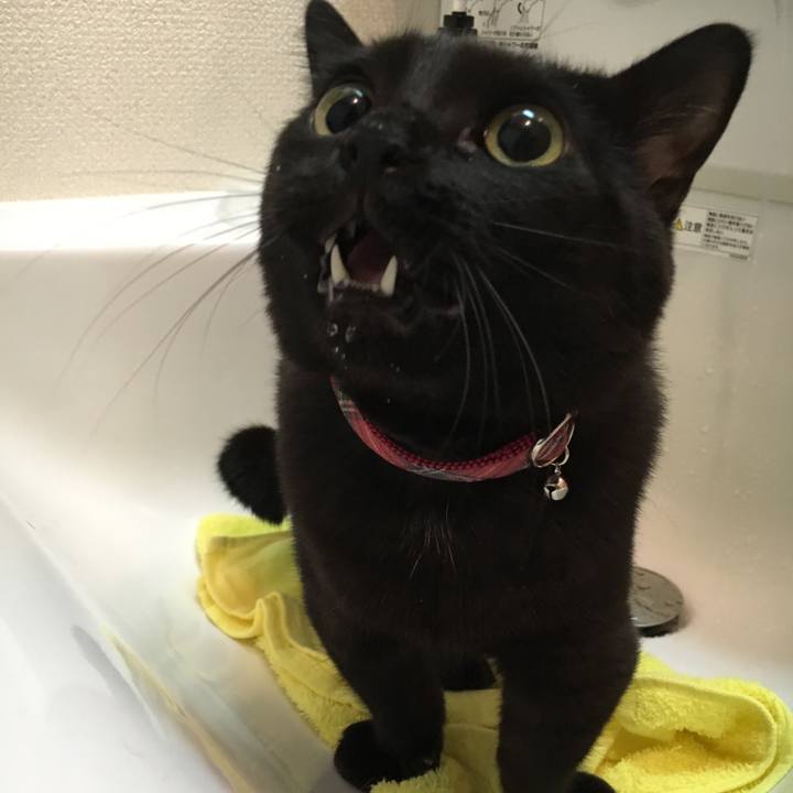 84f77393 06b2 4994 9e08 1803d2963efe