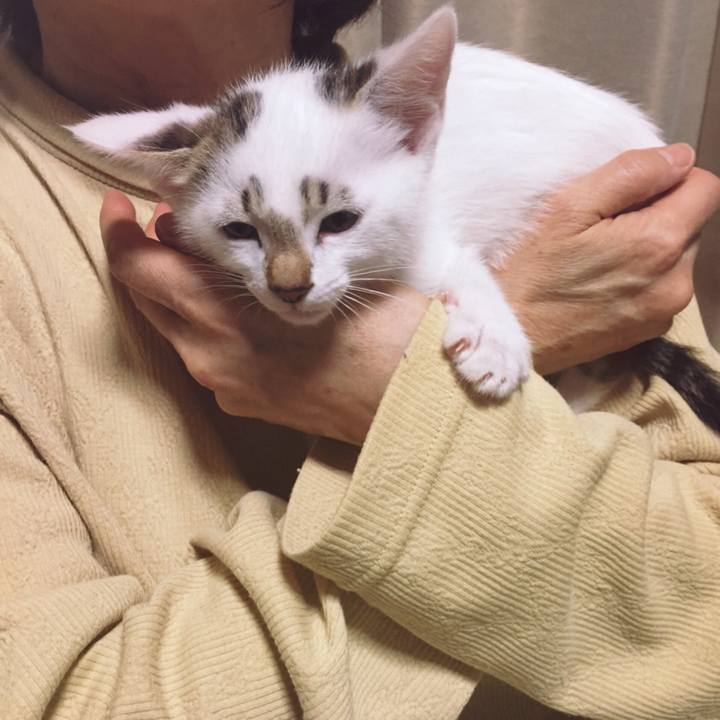 84f7eaf1 7059 47e4 893e 43f95722d697