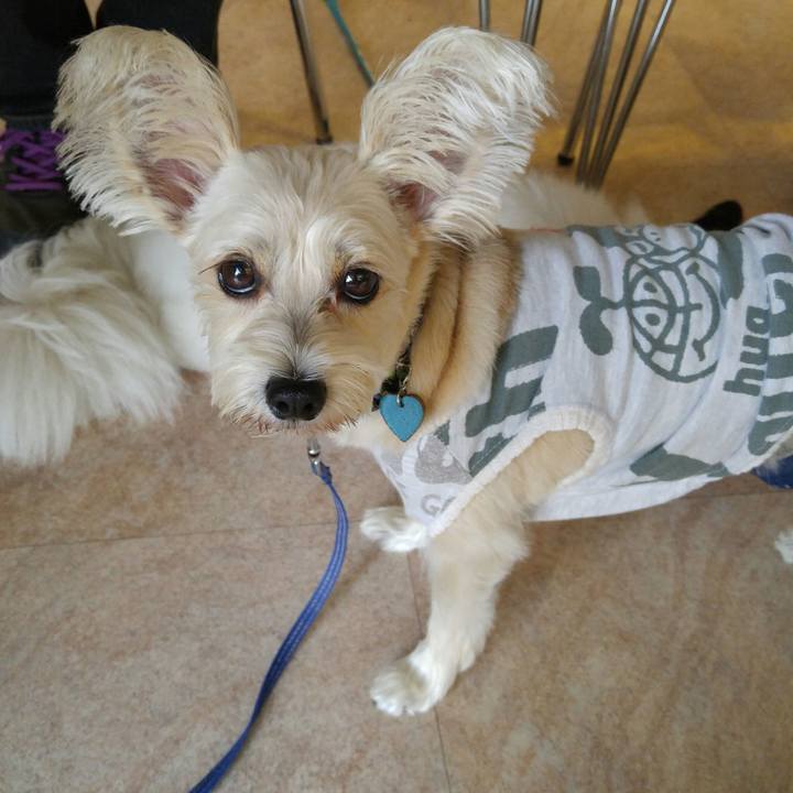 84f939e1 a436 4b29 8d0d 3bf78f4acad6