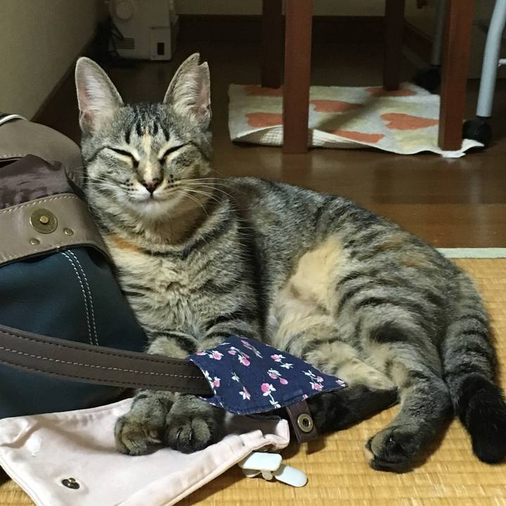 84f943cb 3f6b 4cd5 b304 764b2c96fa9f