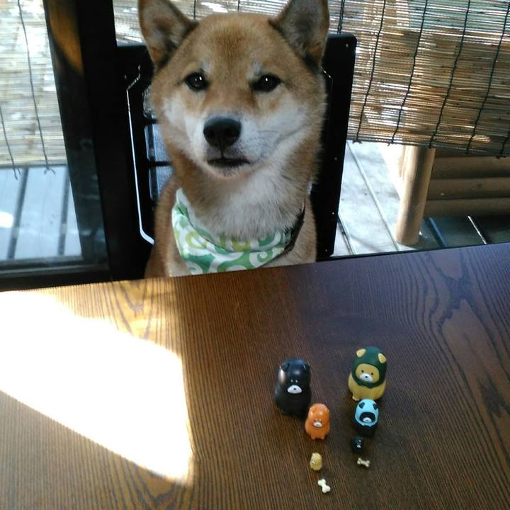 84fb351c 4a18 4af3 8045 b47f2c8b209e